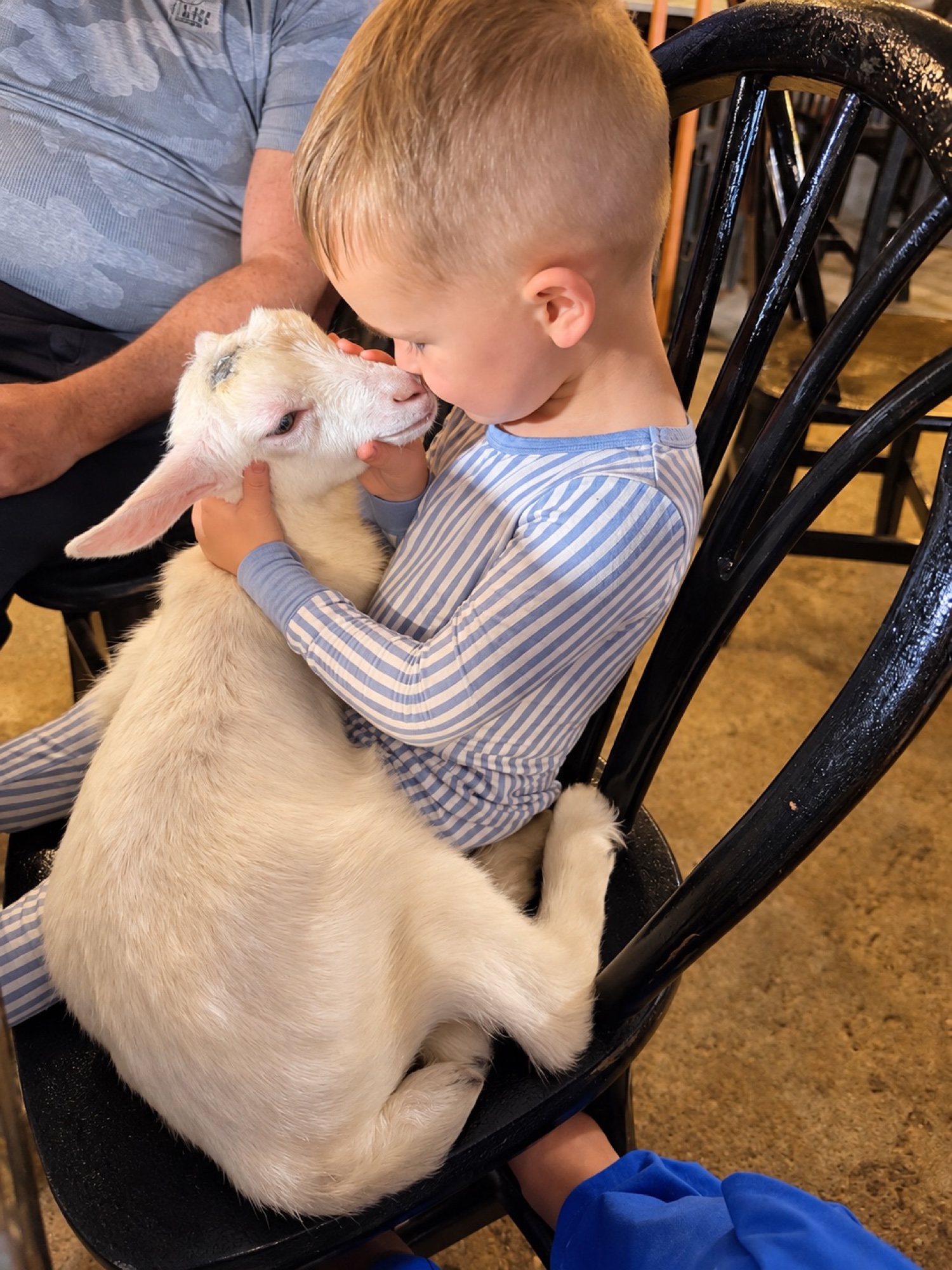 A child cuddling a baby goat at The Lookout