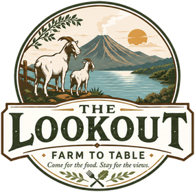 The Lookout